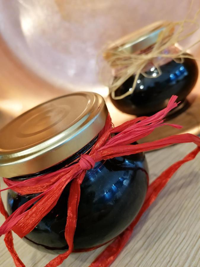 Couette-café Maison La Vigne - Et D'hôtes Le Chambon-sur-Lignon